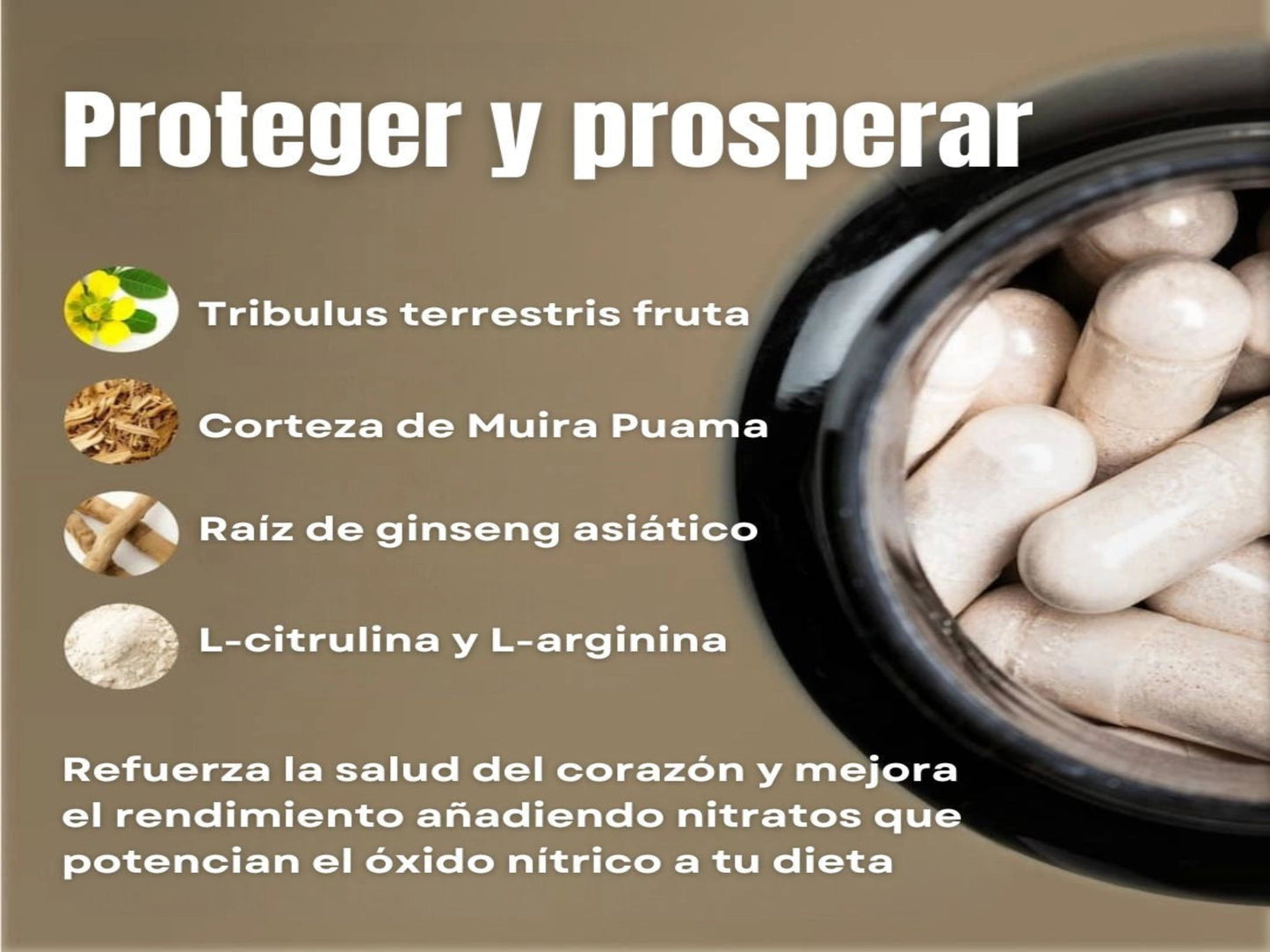 Nitric Oxide - SUPLEMENTO