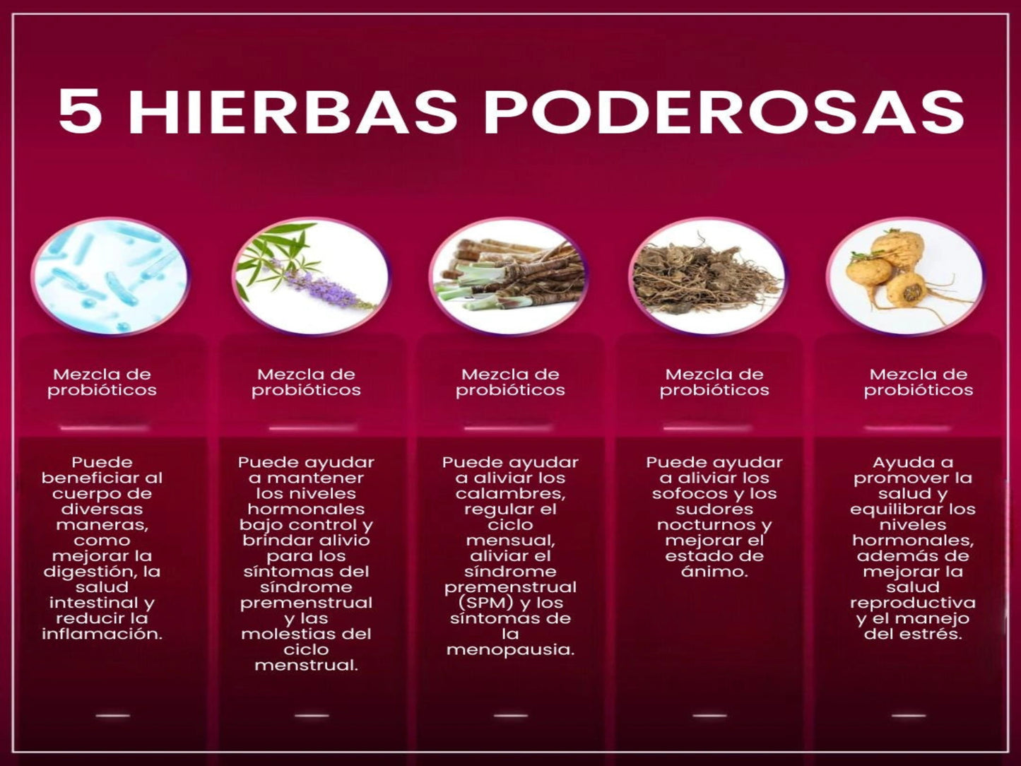 PROBIÓTICOS DE EQUILIBRIO HORMONAL