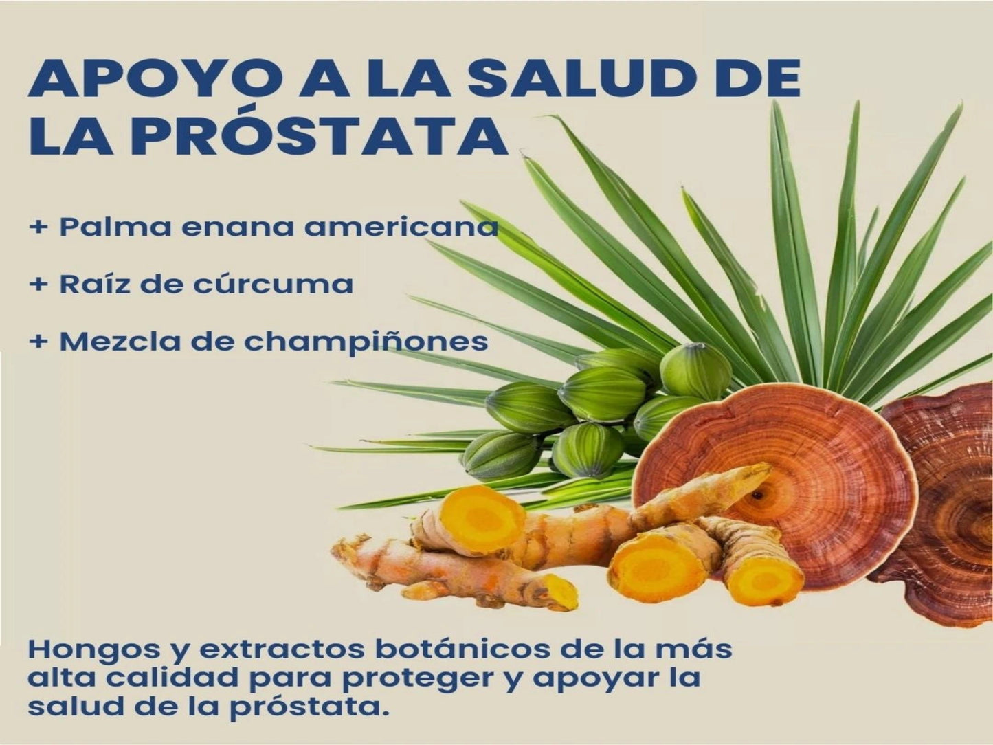 Prostate Health - SUPLEMENTO